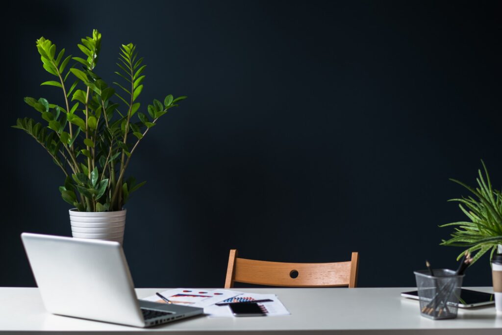 A desk with a laptop and plants against a dark wall