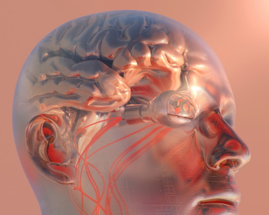 A transparent head with the brain glowing in warm red