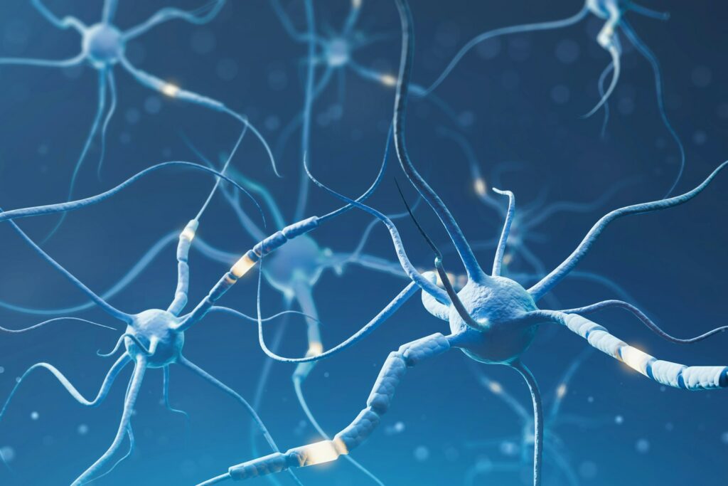 Illustration of blue nerve cells and their connections